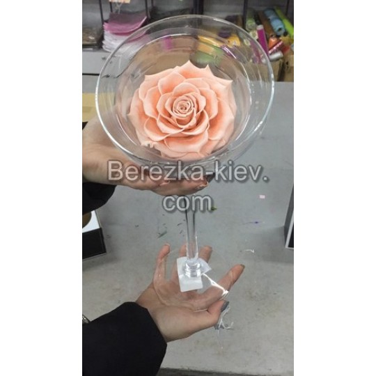 Стабилизированная роза XXXL в стеклянном бокале (кремовая)